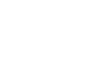 Logo Nedec · Evento corporativo en Querétaro