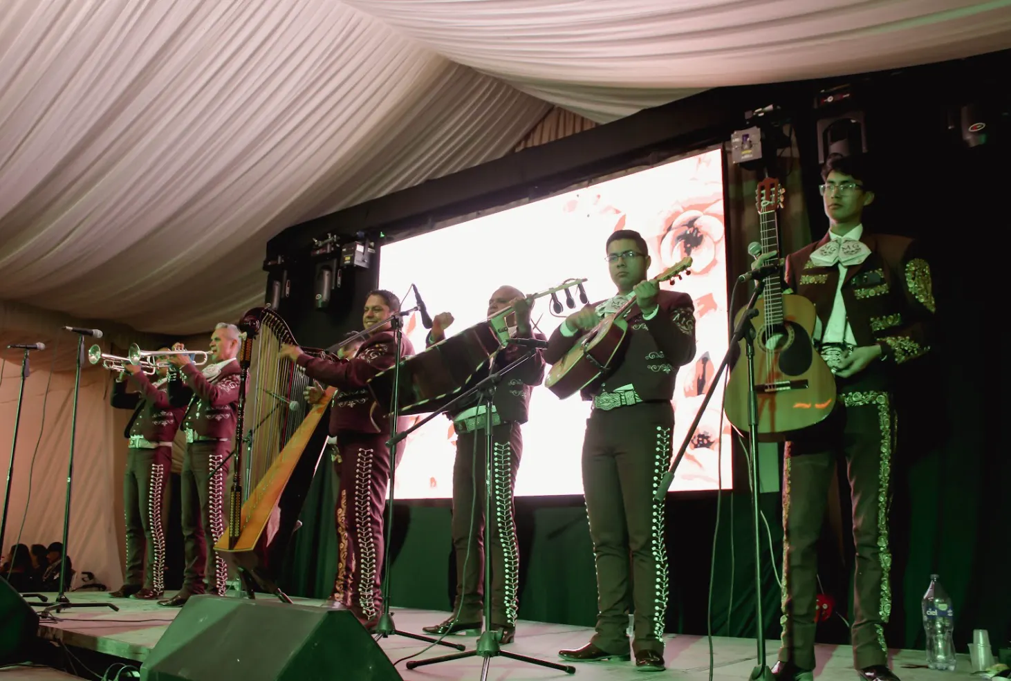 Mariachi en vivo sonorizado por Fandango en unos XV años