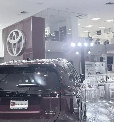 empresarial toyota bw